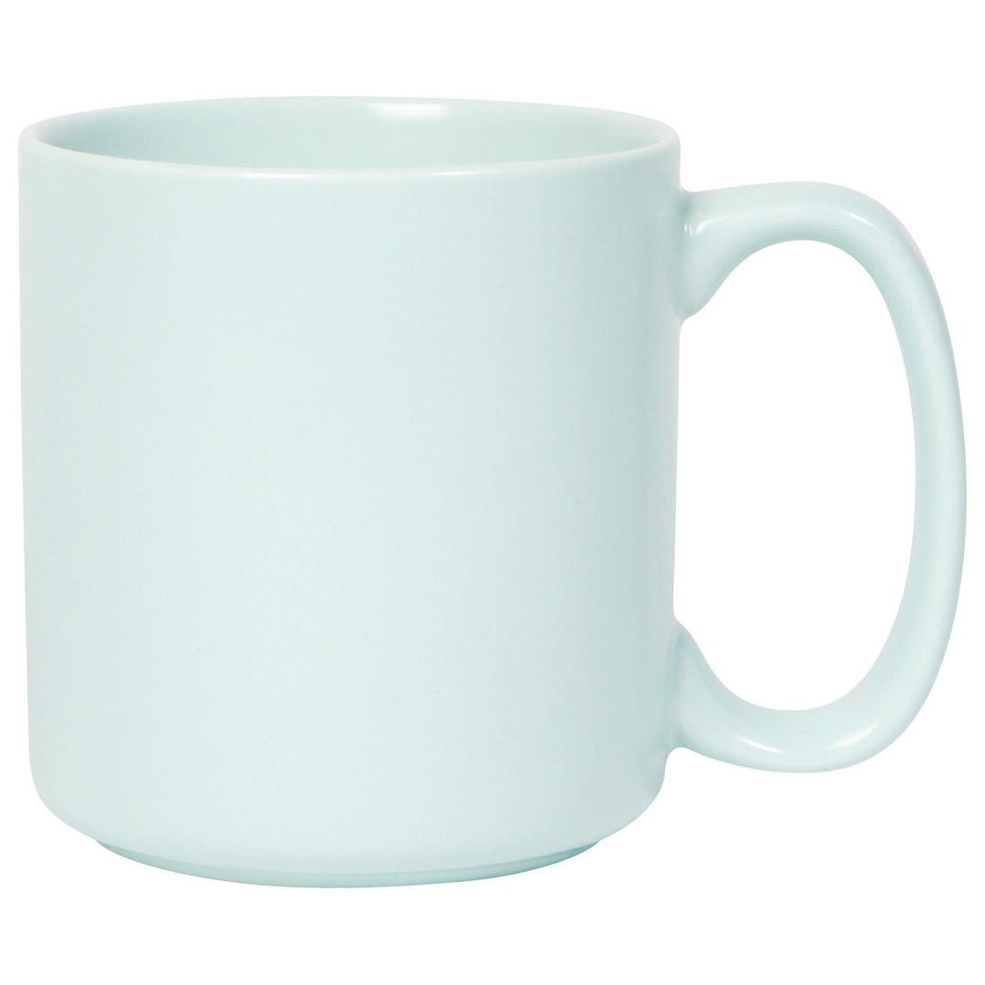 Matte Robin's Egg Blue Mug 14oz