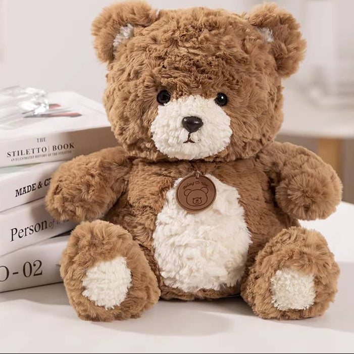 Brown teddy bear with a white belly sitting on books