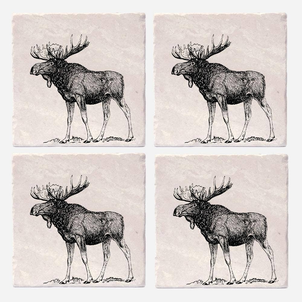 Dessous de verre « Moose » : 10x10 cm