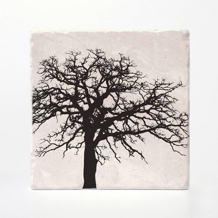 Trees of Life Coasters: