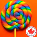 Two colorful Fruit Punch Handmade Whirl Pops from Volio’s Confections, showcasing swirled candy lollipops with vibrant fruit punch flavors.