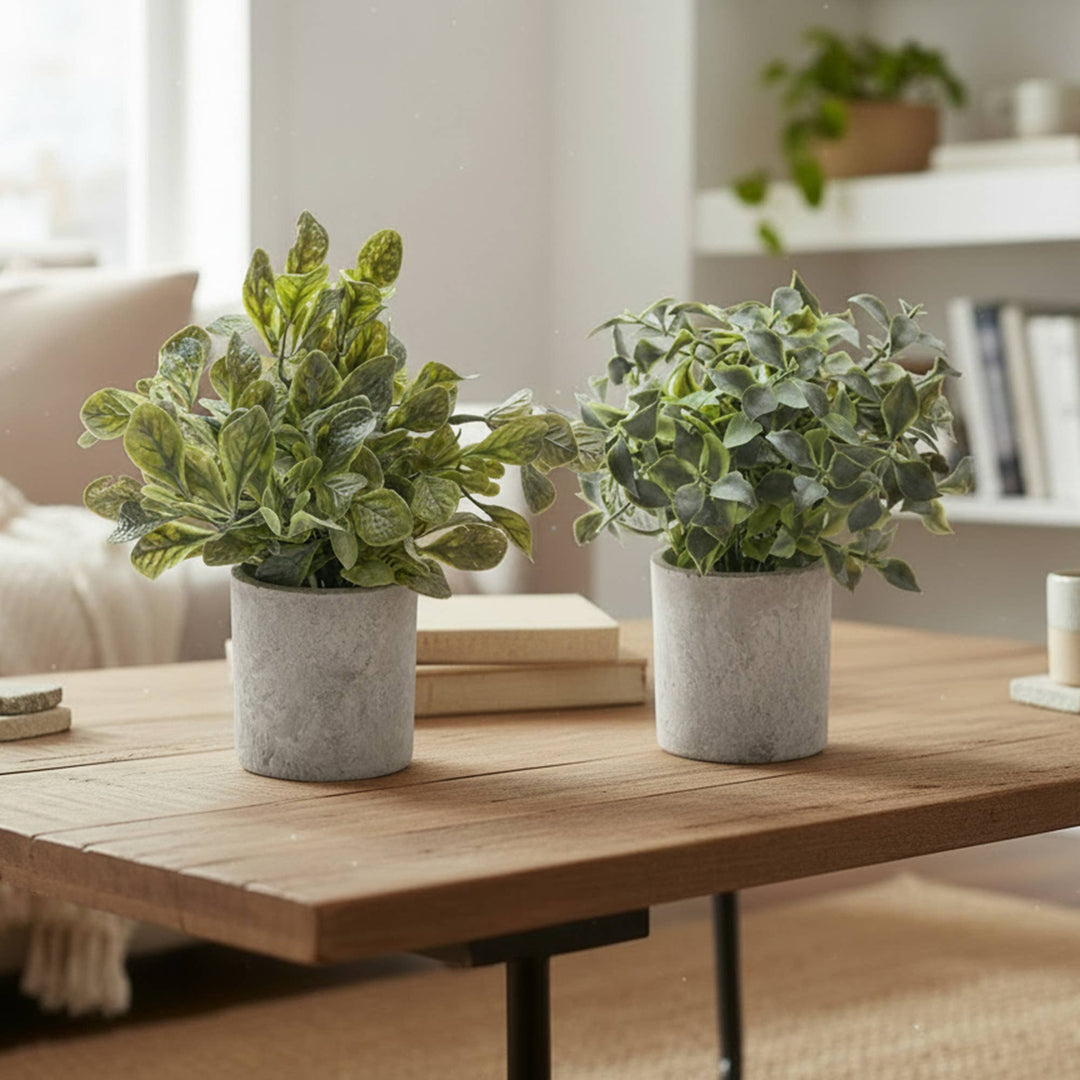 Plante artificielle en pot de ciment (assortiment) : Multiple