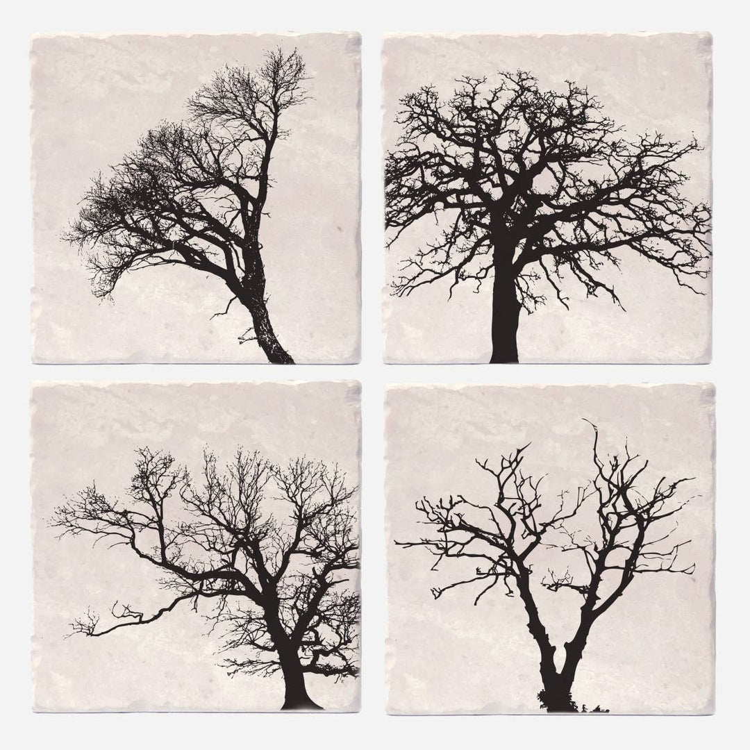 Trees of Life Coasters: