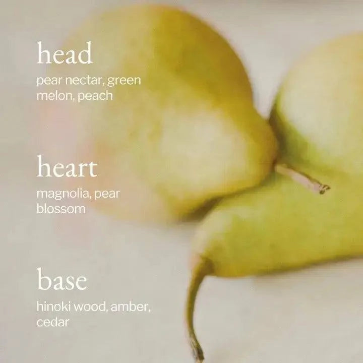 Liquid Dish Soap | Pear + Hinoki: 475ml - Gift Smack Gift Company