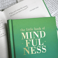 The Little Book of Mindfulness book by Raincoast Books showing a colorful cover with calming illustrations and title text.