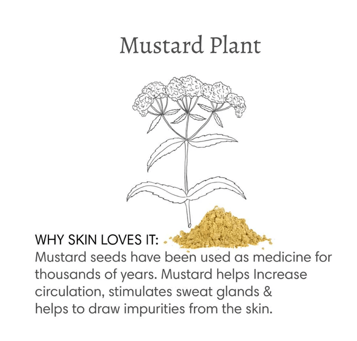 Barefoot Venus Mustard Bath Soak in a clear jar with a yellowish powder, designed for spa, bath, and body relaxation.