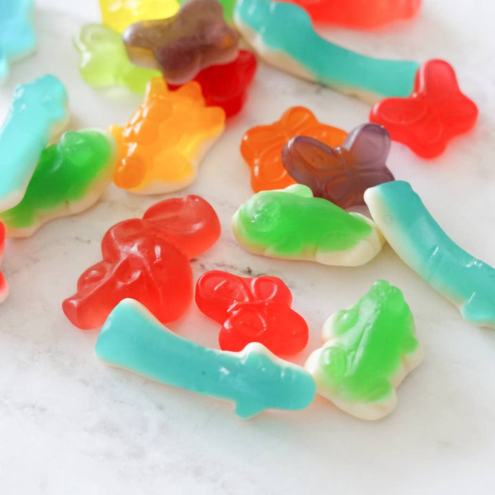 Colorful Animals - Gummy Candies BON BON