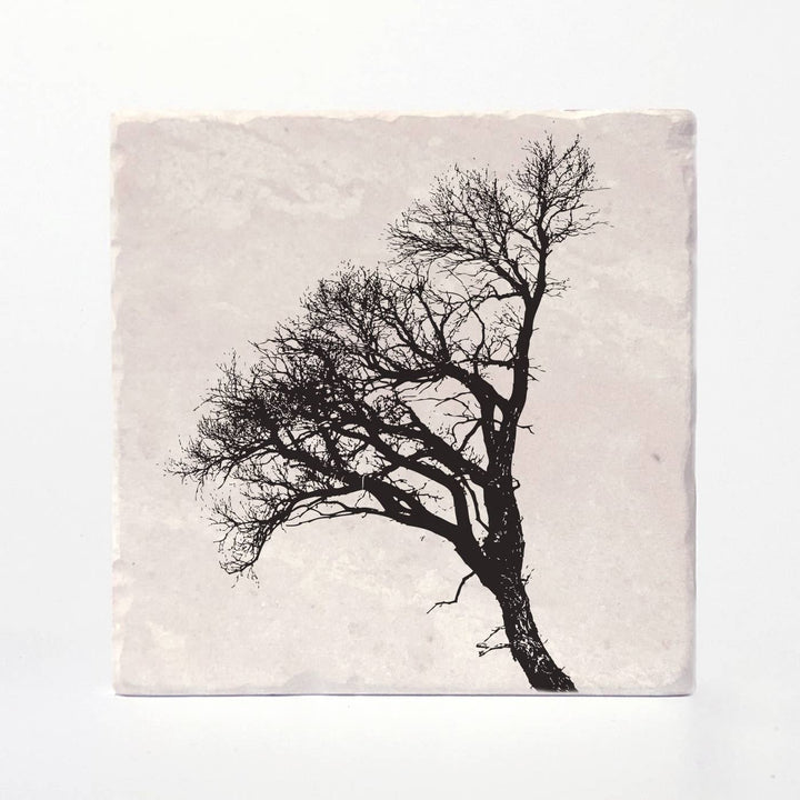 Trees of Life Coasters: