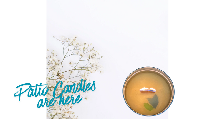 Patio Candles - 16 oz -Wood Wick