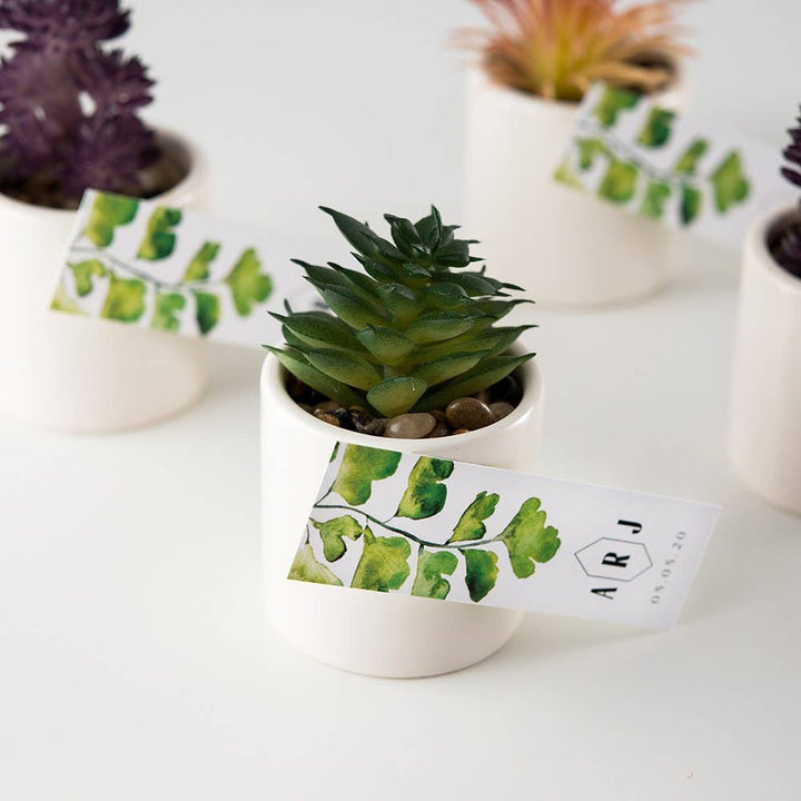 Petite plante succulente artificielle